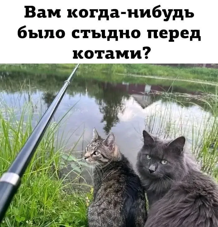 Ну, и где рыба? 😉👍 #1