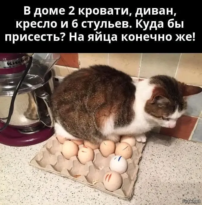 Курочка сидушка 😉