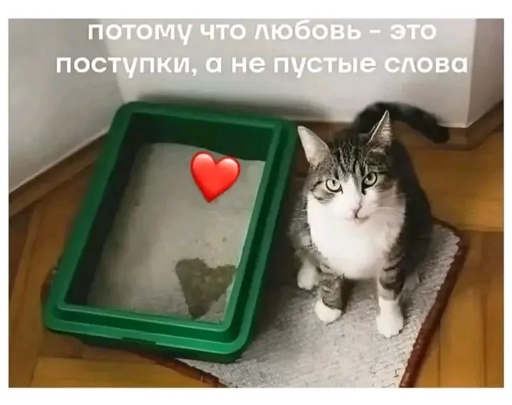Точно😉 👍 #1
