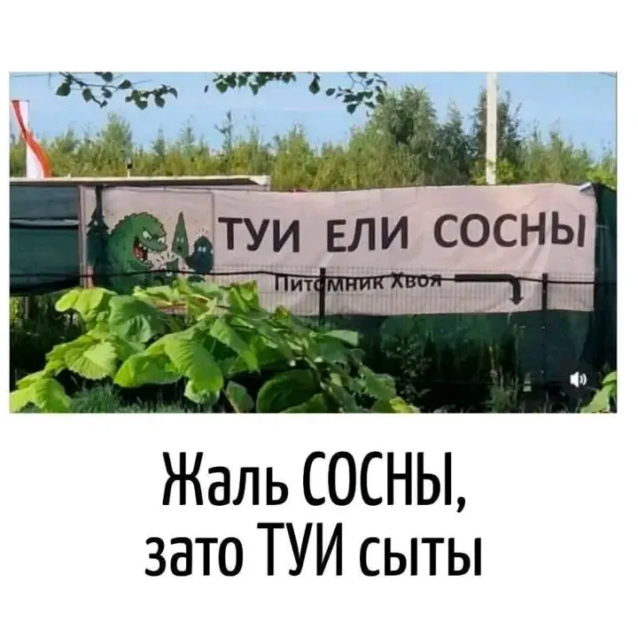 Позитивчик 😉 #1