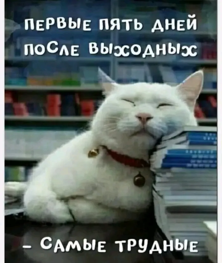 С Добрым Утром🐾 😉👍 #1