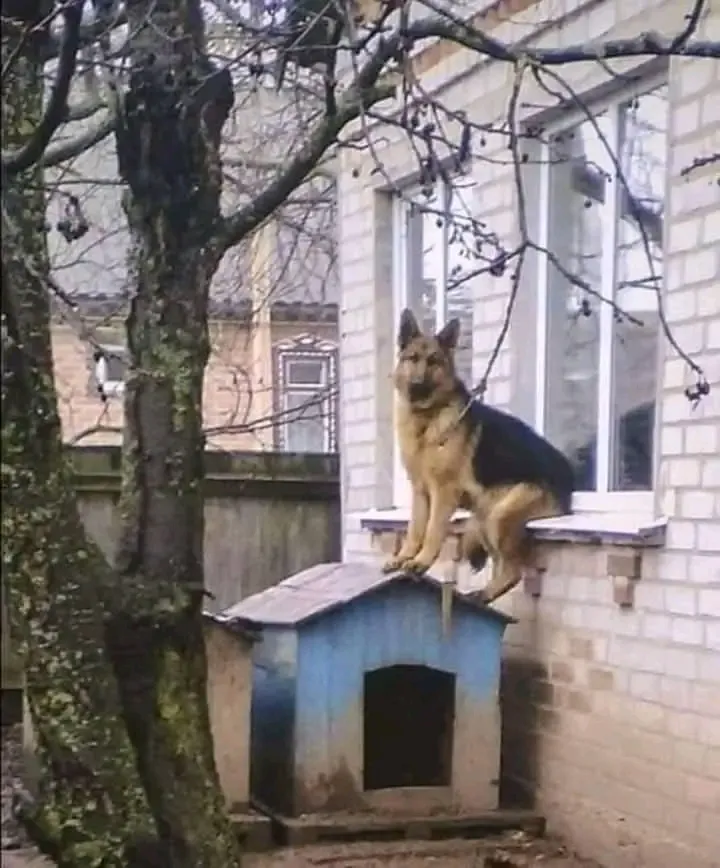 Охрана не дремлет 😉👍
