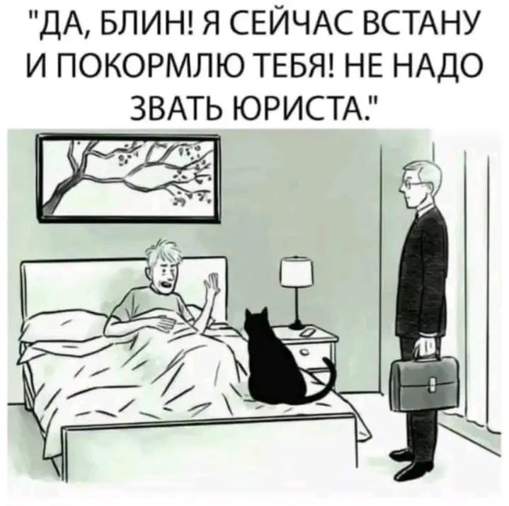 Фото, юмор, сатира, законодательство, кот, корм, юрист,  #1