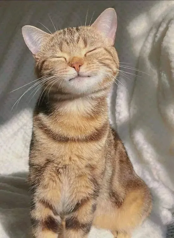 С Добрым Утром🐾🥰 #1