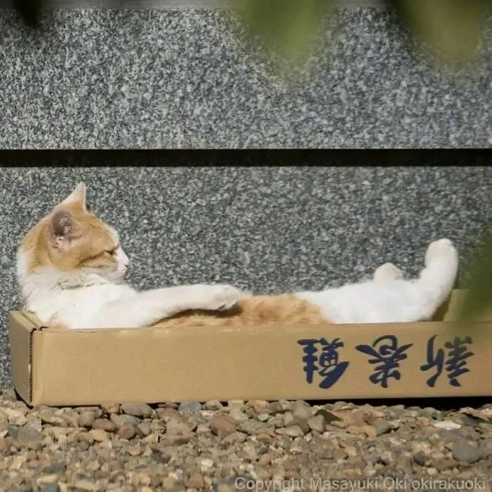С Добрым Утром 🐾🐈🥰 #1