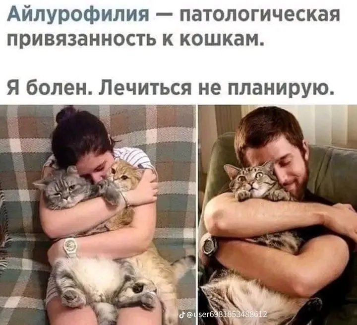 Айлурофилия: Психическое Расстройство или Сильная Любовь к Кошкам #2