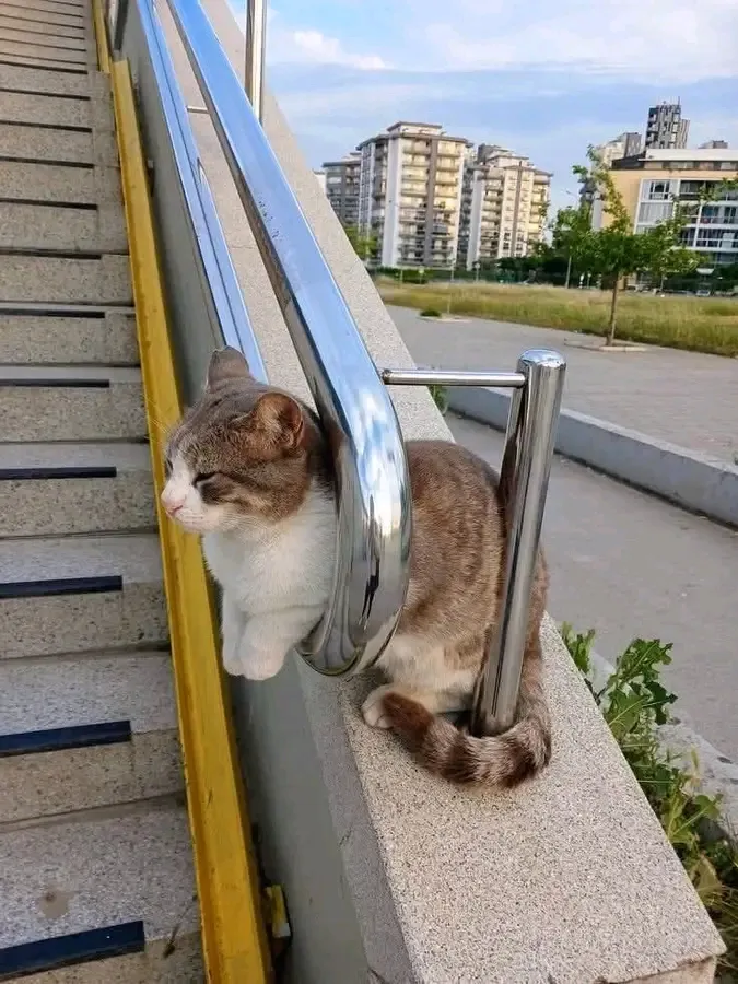Высплюсенье. Утро😉🥰