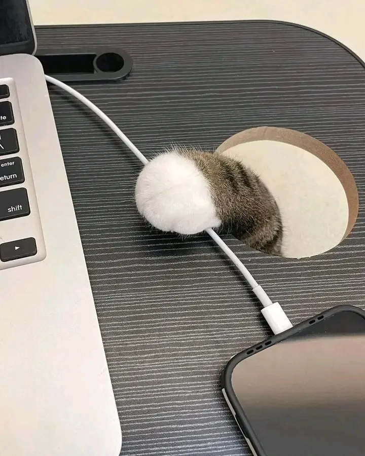 С началом рабочей недели 😉🐈🐾👍 #3