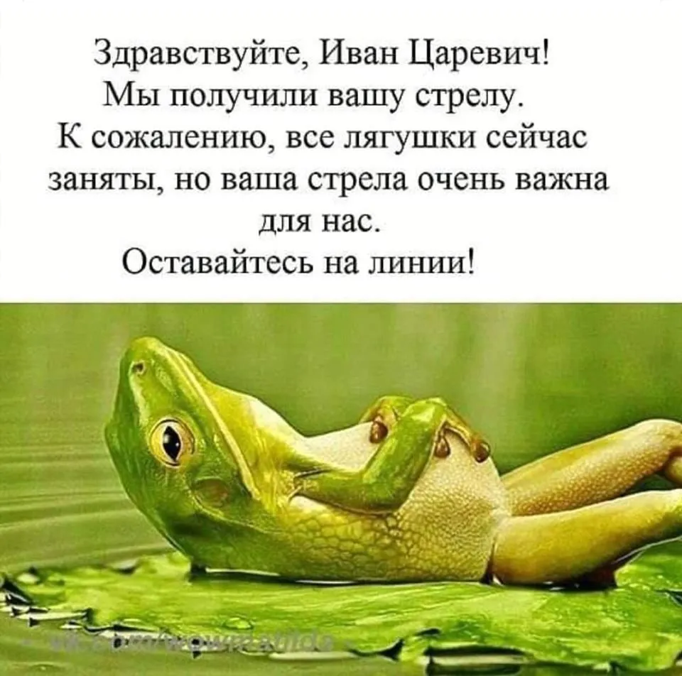 Привет, чуваки 🐸😉👍 #1