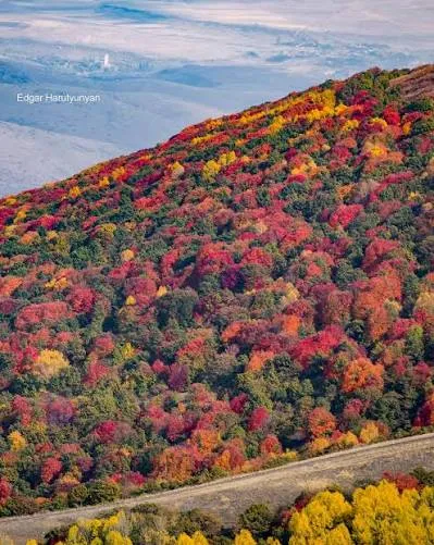 Осень в Армении 🍁🍂🍃 #4