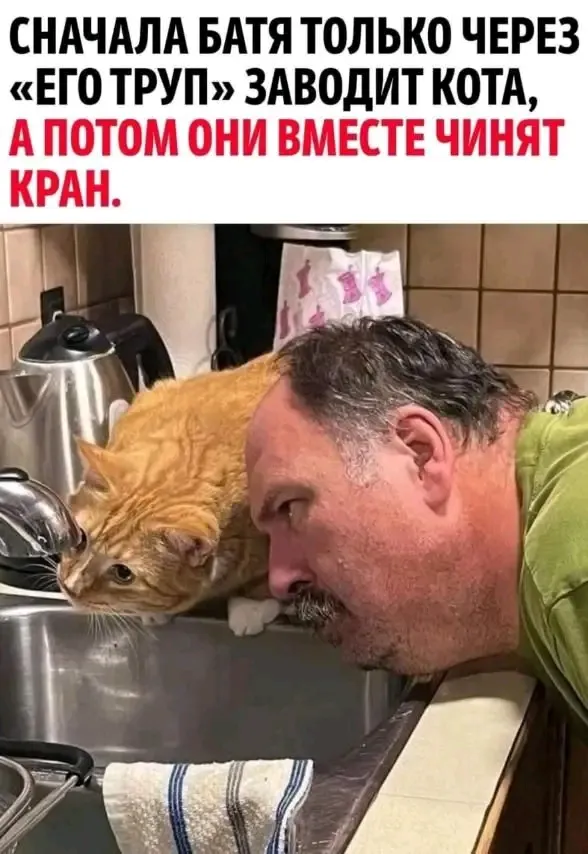 С Добрым Утром🐾🐾🐾 💝 #1