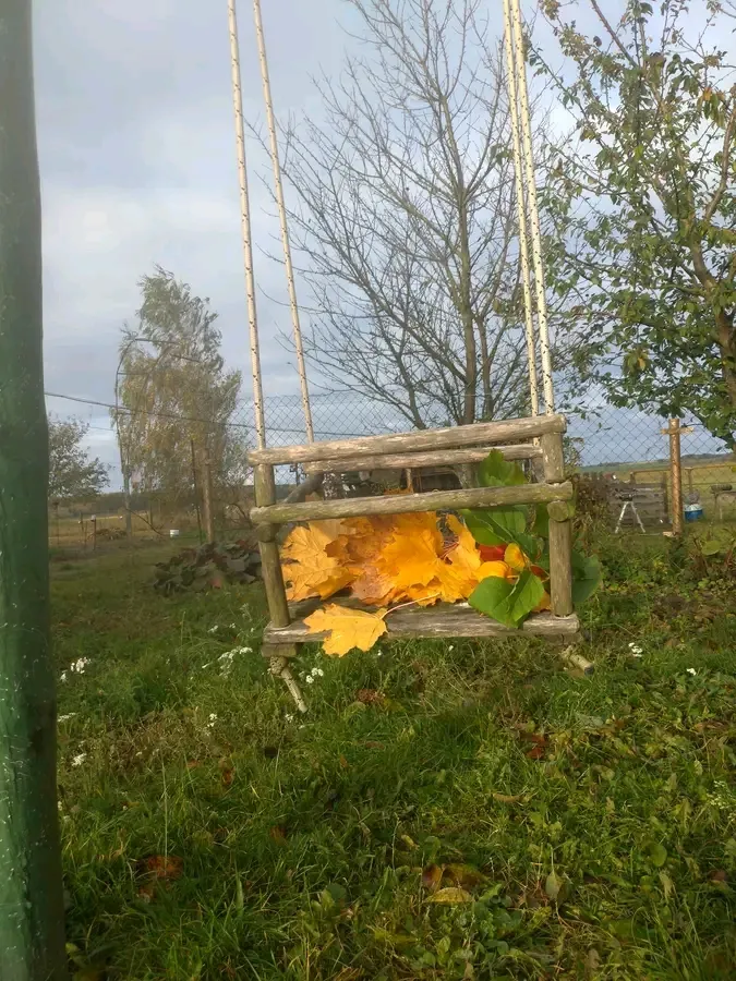 Качели 🍁🍂🍃🍂🍁