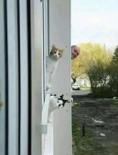 Пока все дома😉👍 #1