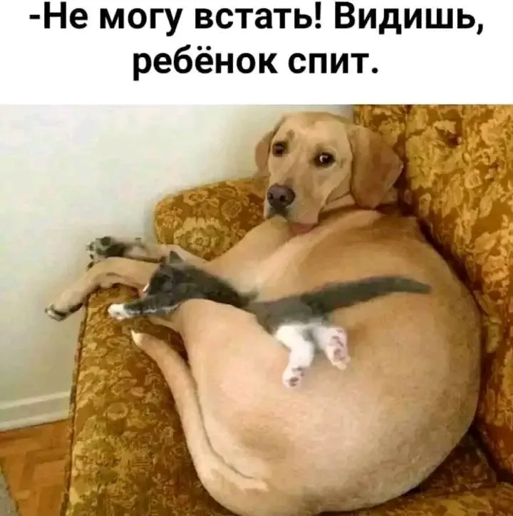 Знакомая ситуация ???🤣