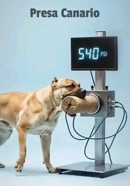  PSI (Pounds per Square Inch): измеряем мощь укуса у разных пород..PSI—(фунт на квадратный дюйм) #5