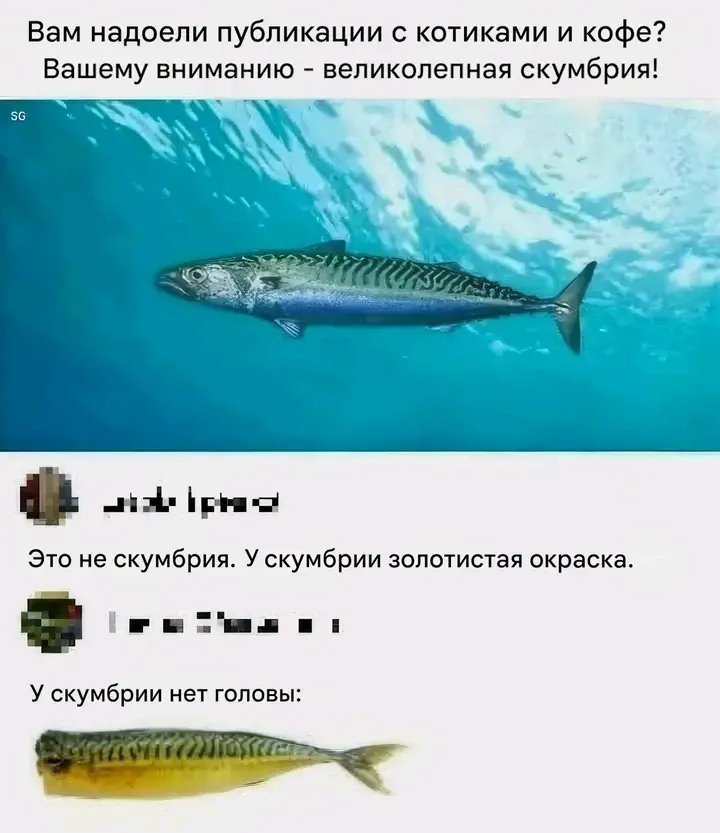 Шуточный опрос, если что😉