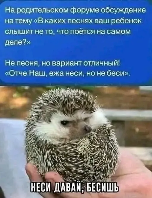 😉🤣 #1