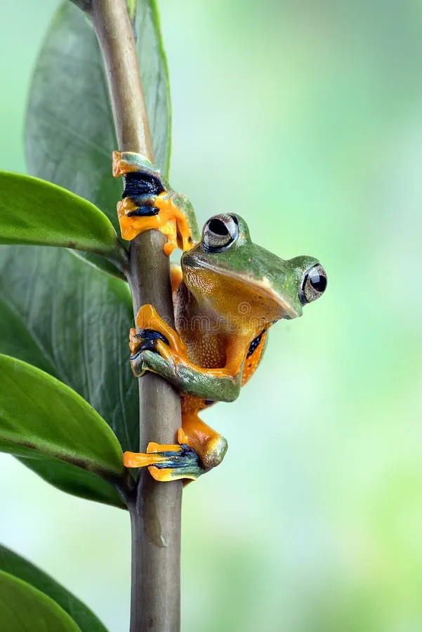 Со средой, чуваки😉👍🐸 #1