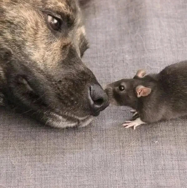 КОРЕША🥰