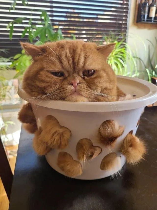 Сердечек на всех хватает 🥰
