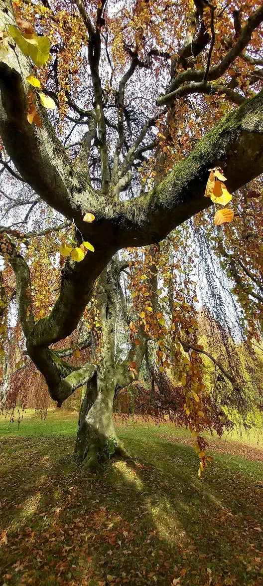 Неописуемая красота 🍂 #1