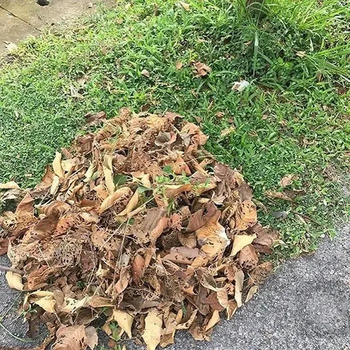 Найдите кота 🍂 #1