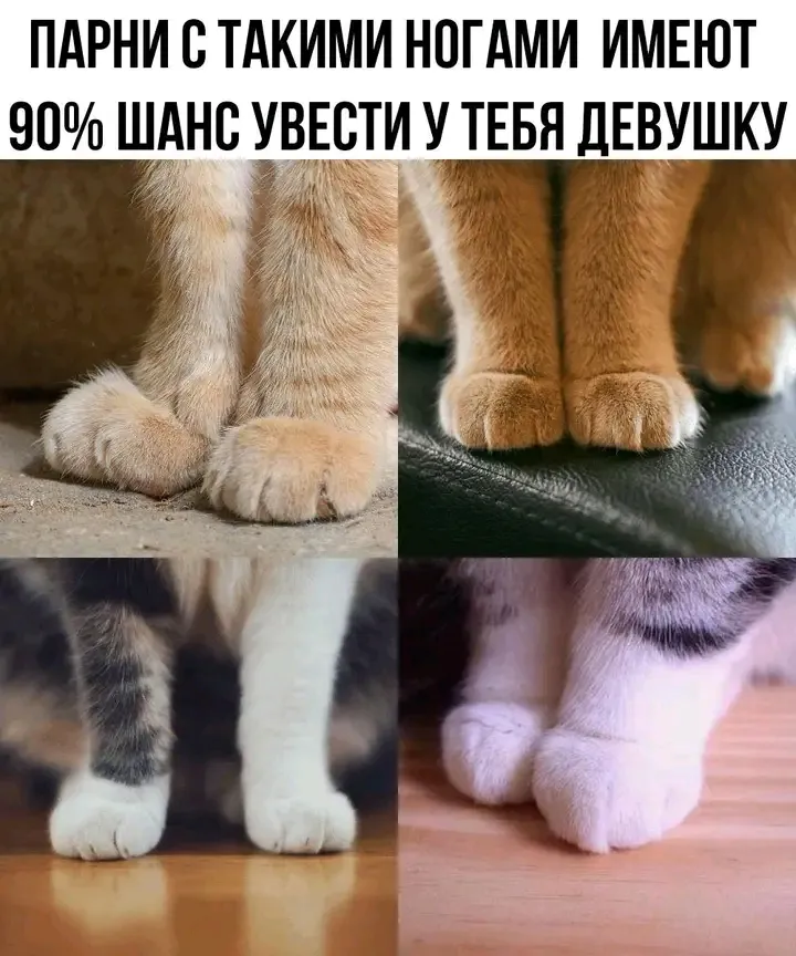 💯💯💯 !  #1
