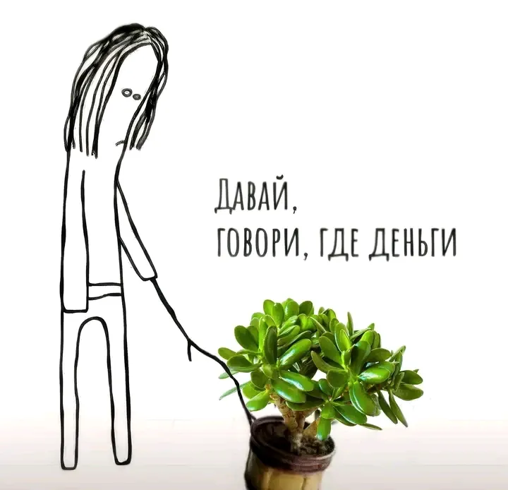 Коллектор 😉👍🌱 #1