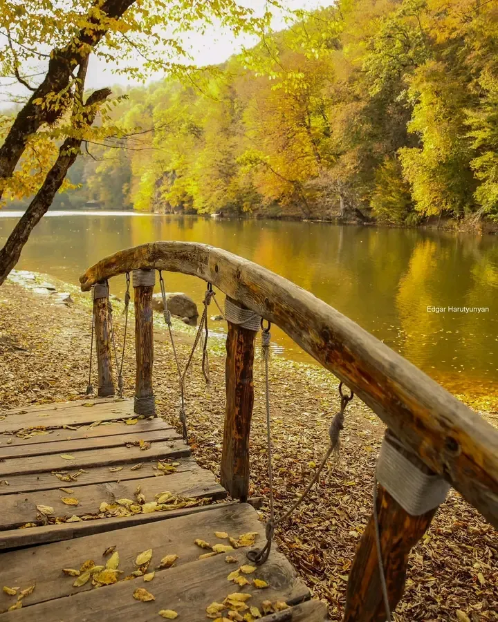 Золотая осень.Дилижан👍🍁🍂 #1