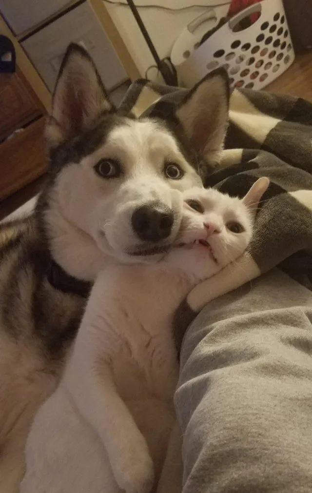 😉🐾🐾👍 #1