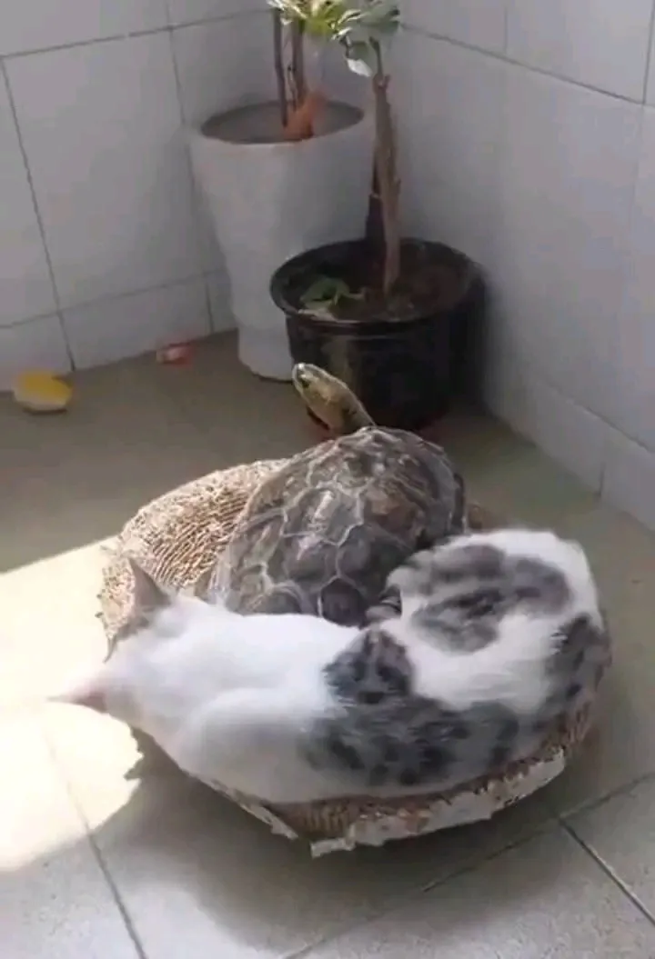 В тесноте, да не в обиде🥰