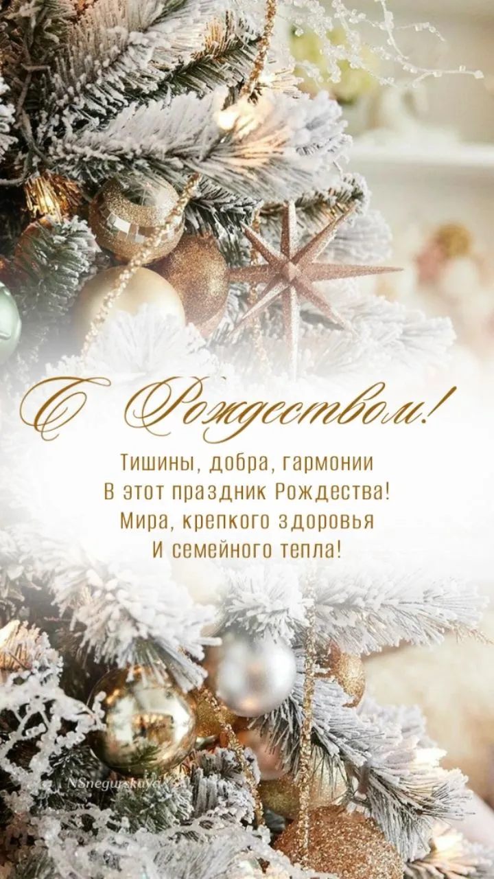 🎄🎅🔔❄ #1