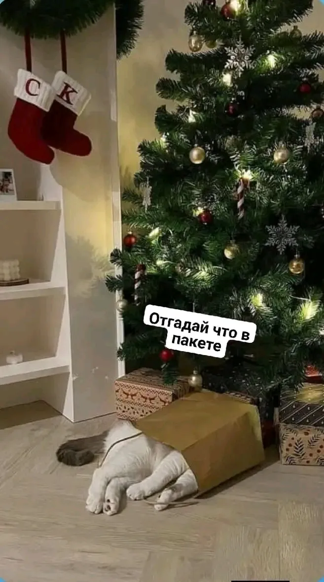 Очень трудная загадка 🐾😍👍 #1