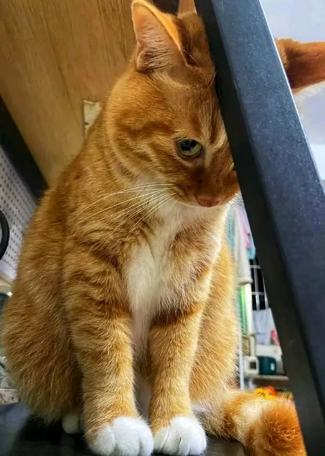 С Добрым Утром🐾🌞 #2