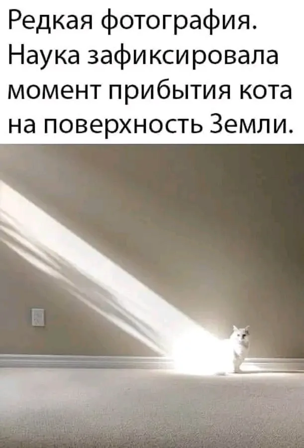 😉🙃👍 #2