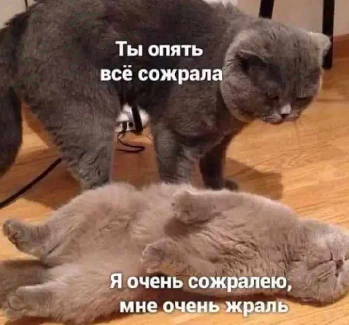 Шёл пятый день нового года 😉🤣👍 #1