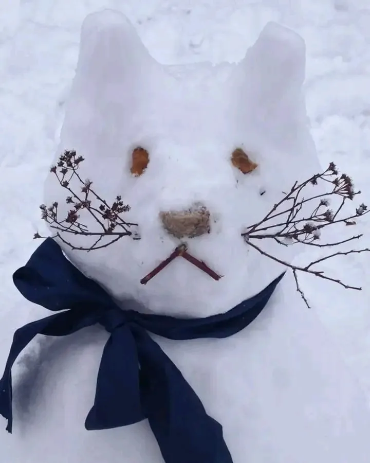 Снежные коты😉👍🐾 #1