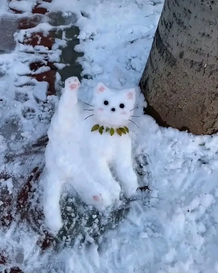 Снежные коты😉👍🐾 #2