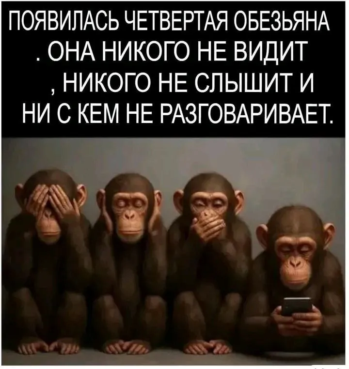 🐒🐒🐒🐒👀🙃 #1