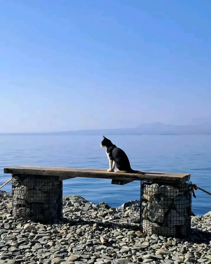 С Добрым утром🐾🌞 🌊 #1