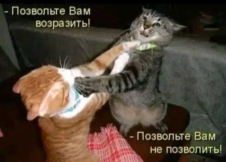 С Добрым Утром🐾🌞🐈 #1