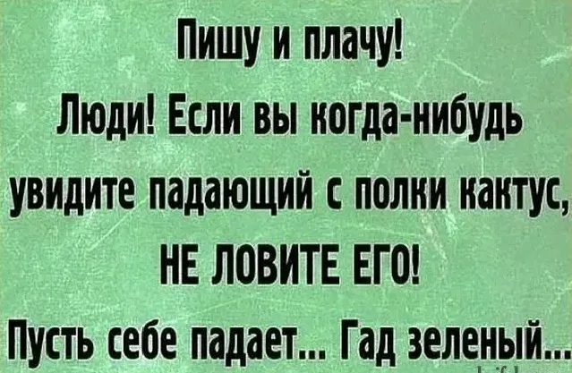 Что делать, когда падает кактус? 🤣 #1