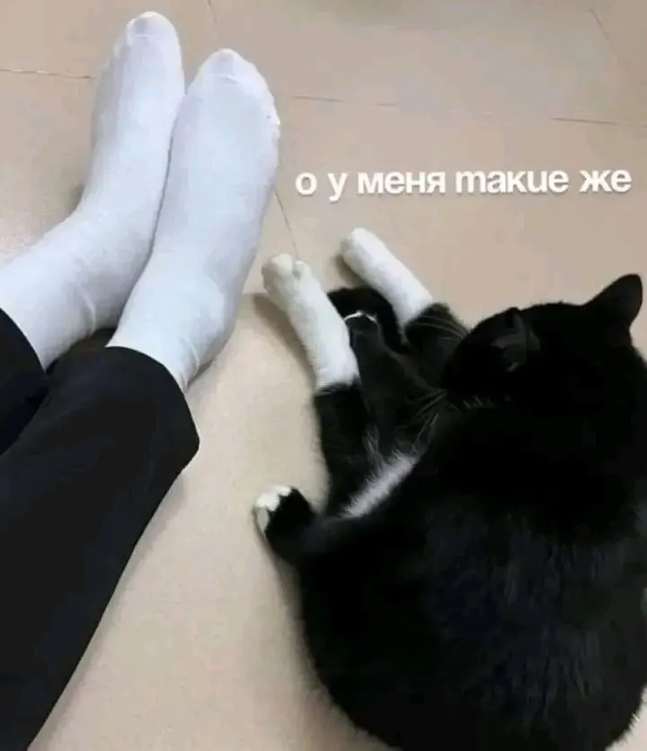 Приятное совпадение 😉🐾👍 #1