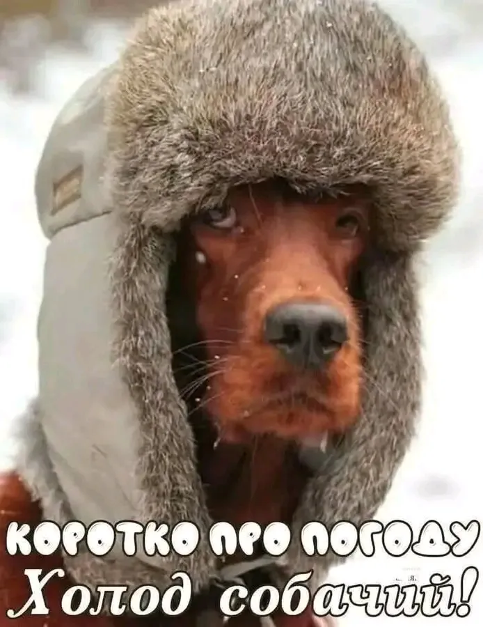 Стопроцентный прогноз 💯 #1
