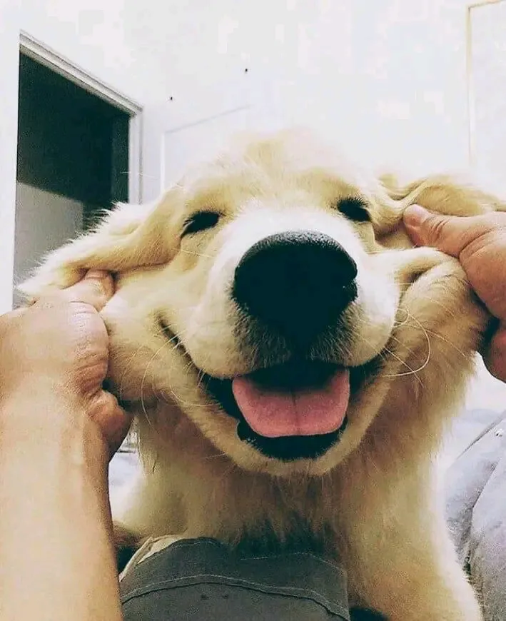 С Добрым Утром🐾🌞🥰 #1