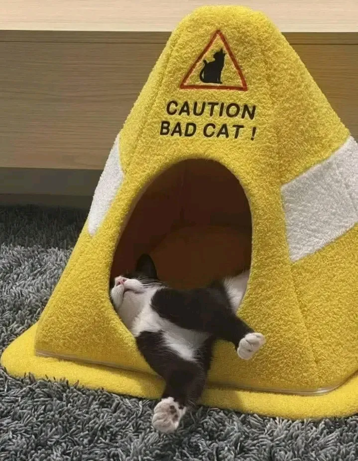 😉🥰👍 #2
