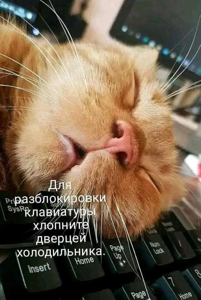 Инструкция по разблокировке клавиатуры 😉👍 #1