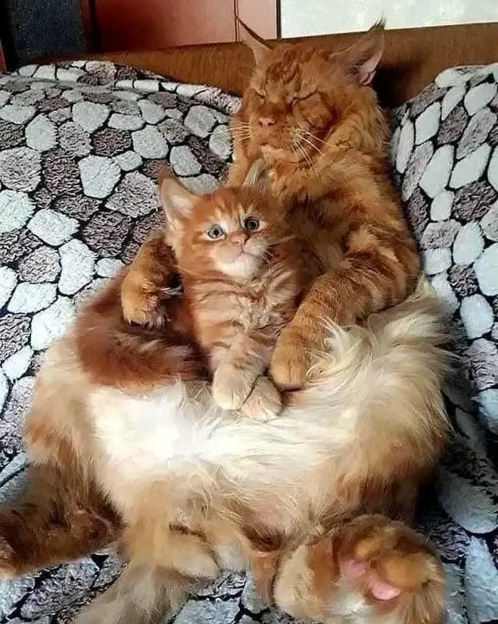 Отец и сын🥰