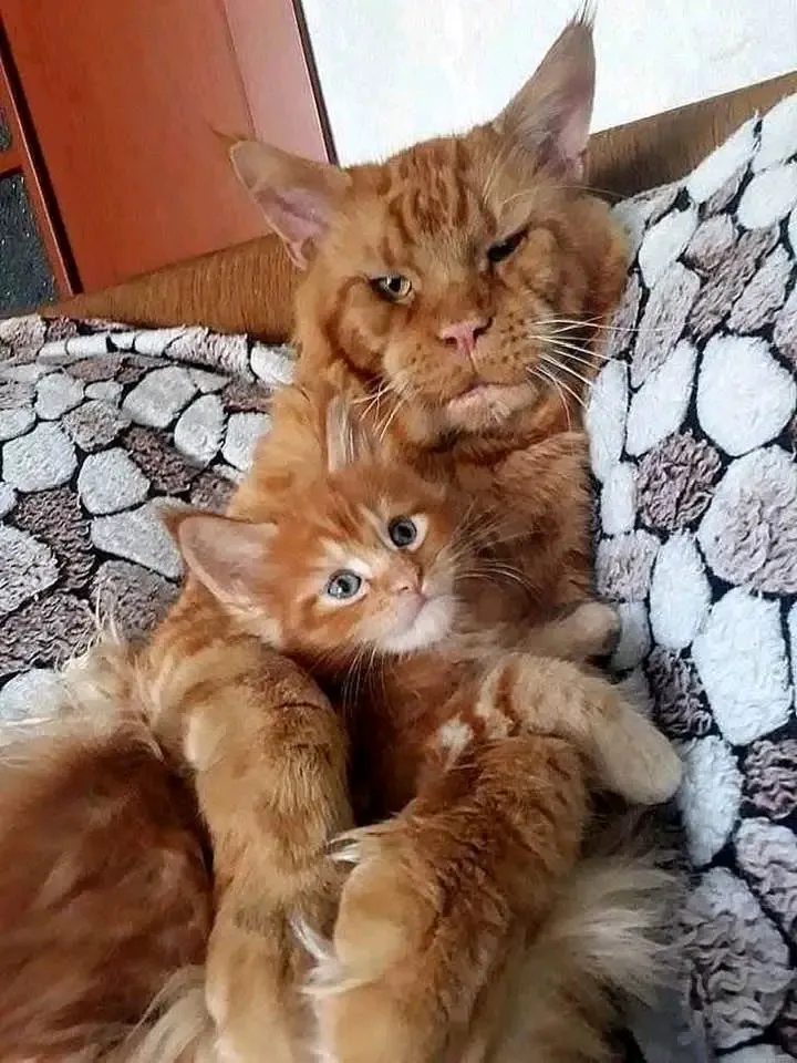 С Добрым Утром🐾🌞 🥰 #2