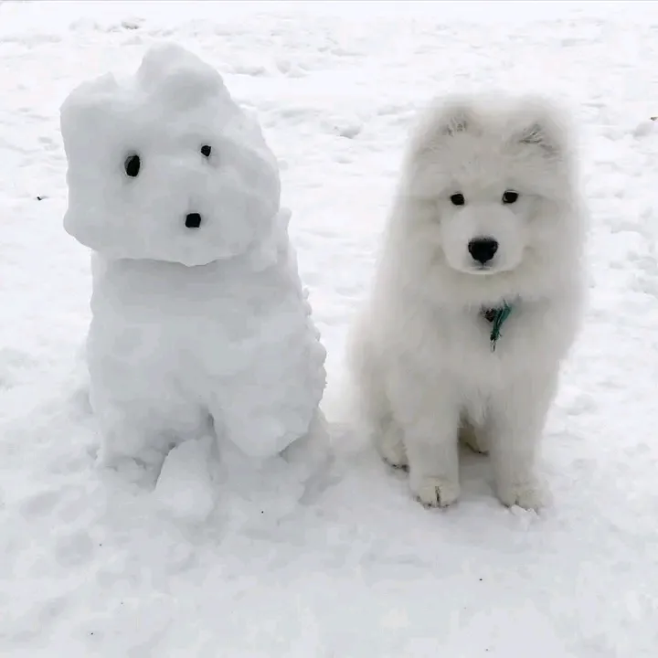 Двойняшки 🤣👍😍 #1